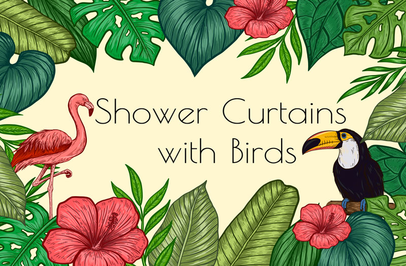 Shower Curtains with Birds - How to Decorate Your Bathroom with a shower curtain with birds